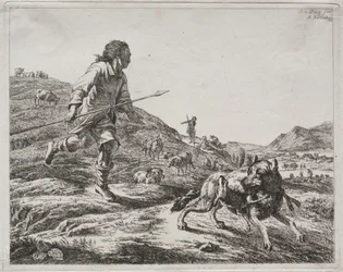Herder die een wolf achtervolgt