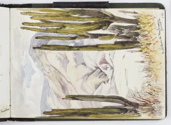 Schetsboek van aquarellen, tekeningen en notities, Mexico, 1896-1898
