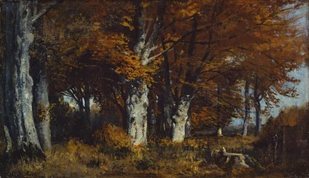 Beukenbos in de herfst
