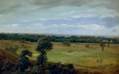 Landschap