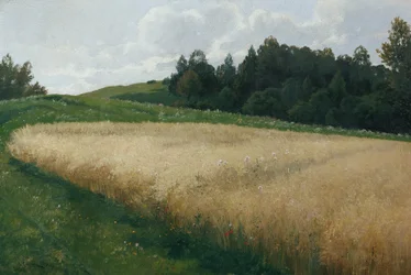 Het haverveld