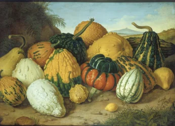 Groot stilleven met pompoenen