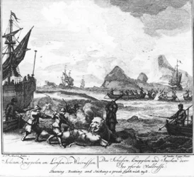 „Schieten, knuppelen en lansen der walrussen“ (nr. 9 uit de serie walvisvaart)