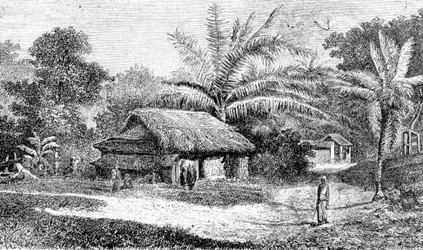Dorp in de vallei van Colombo, Sri Lanka (gravure)