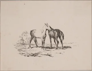 De twee paarden