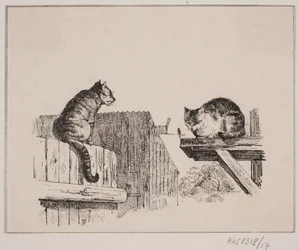 De twee katten