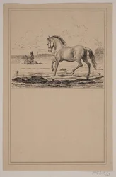 Het paard in het water. Nr. 22 in Chr. Winther en M. Rørbye, "25 Afbeeldingen voor kleine kinderen"