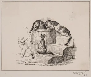 De katten