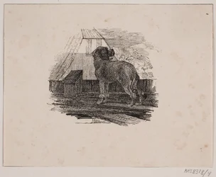 De poedel