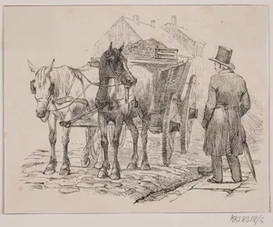 De vuilnispaard