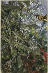 Bloemen met een vlinder en slak. Uit het „Kinderalbum“