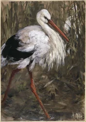 De ooievaar in het riet. Uit het „Kinderalbum“