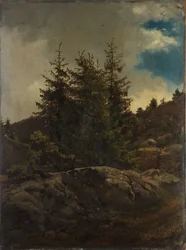 Landschap uit Nes in Hallingdal
