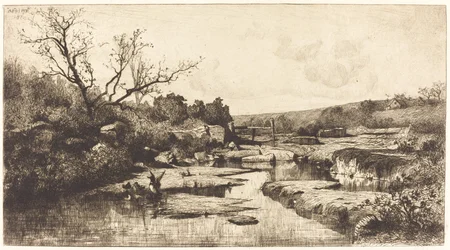Landschap