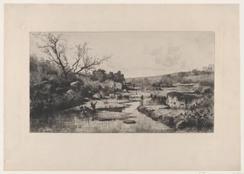 De bronnen van de Albarine (Ain)