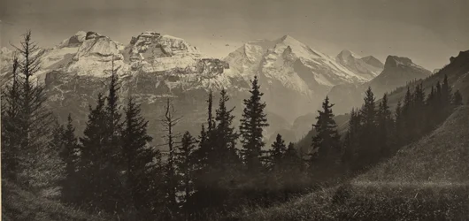 [Alpien landschap]