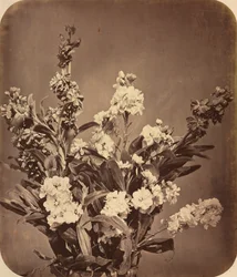 Boeket, ca. 1855