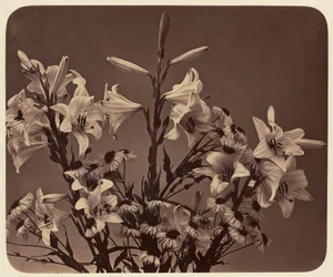 [Bloemen]