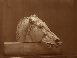 [Paardenkop uit het fronton van het Parthenon, British Museum]