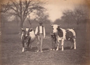 Landschap,c. 1864 (foto)
