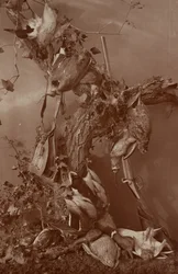 [Still Life: Dead Game].