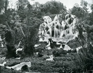Roaring River Falls, Jamaica, ca. 1905