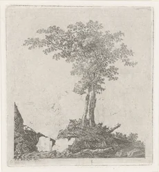 Twee bomen