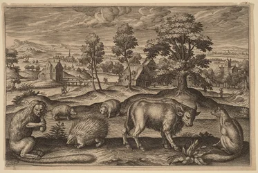 Een aap, een stekelvarken, twee egels, een buffel en een vos