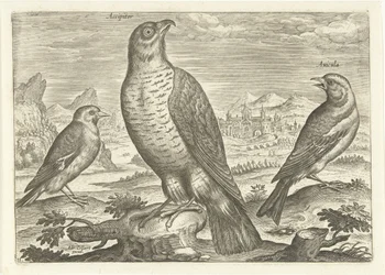 Drie vogels in een landschap