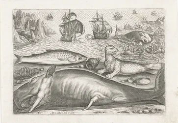 Een harder, een zeeleeuw en een walvis op het strand