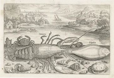 Een vis en enkele schaaldieren op het strand