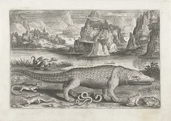 Enkele reptielen en amfibieën op een oever