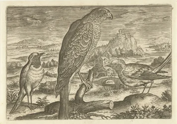 Enkele vogels in een landschap