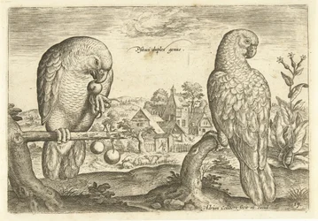 Twee papegaaien in een landschap