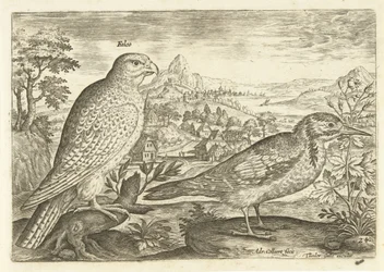Twee vogels in een landschap