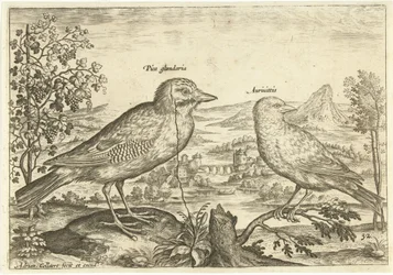 Twee vogels in een landschap