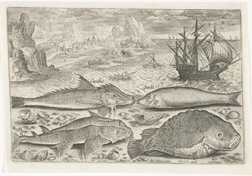 Vier vissen op het strand