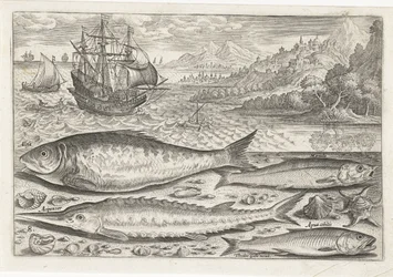 Vier vissen op het strand