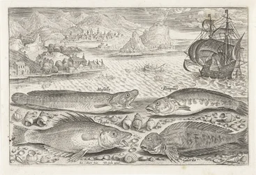 Vier vissen op het strand Vissen Piscivm vivae icones
