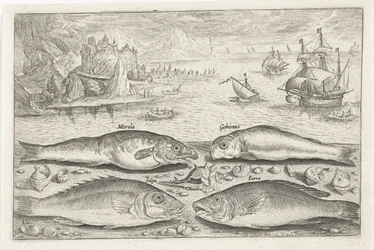 Vier vissen op het strand