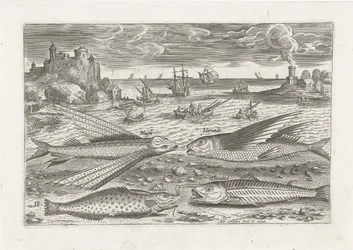 Vier vissen op het strand