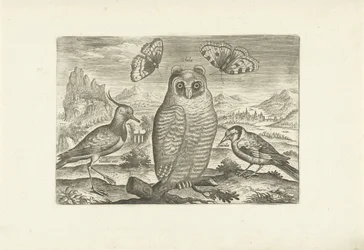 Vogels en vlinders in een landschap