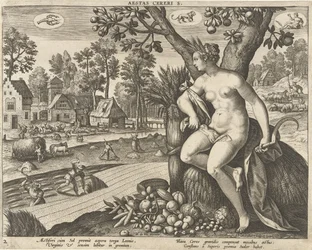 Zomer
