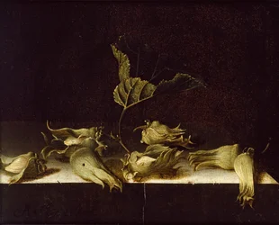 Stilleven met hazelnoten, 1696