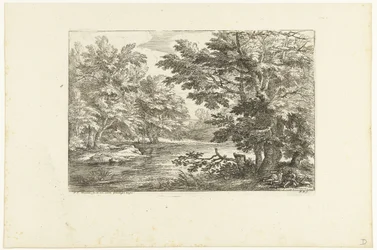 Landschap met meertje