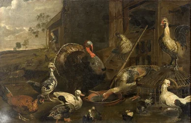 Kippen, eenden en een kalkoen