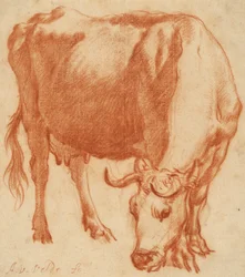 Een grazende koe, ca. 1663