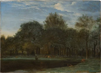 Bosopen plek met grazende herten