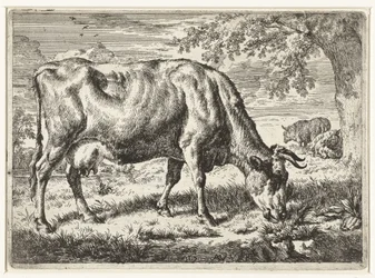 Grazende koe en twee schapen