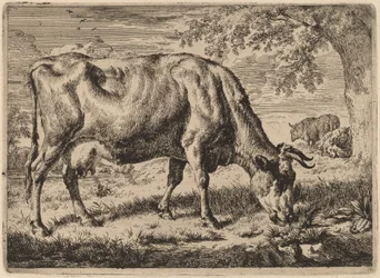 Grazende Koe met Twee Schapen